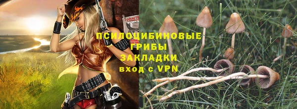 стаф Алексеевка
